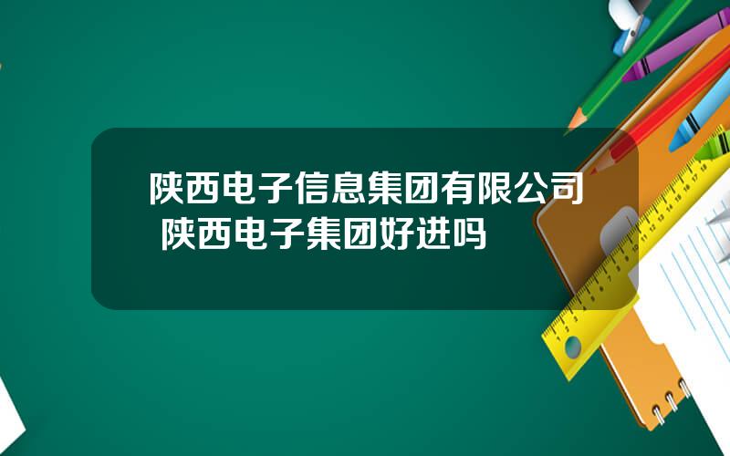 陕西电子信息集团有限公司 陕西电子集团好进吗